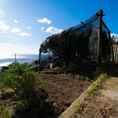 بيت للعطل Paradise House *